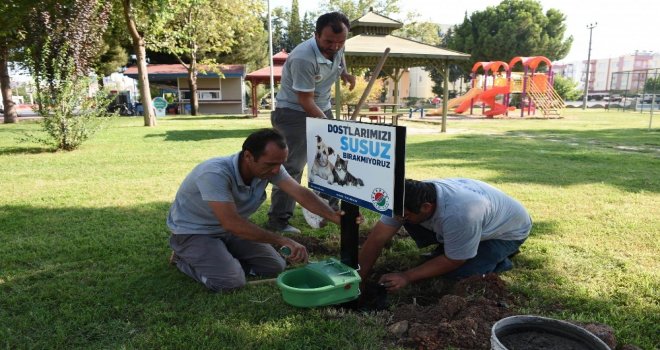 Kepez Belediyesinden Sokak Hayvanlarına Ek Suluk