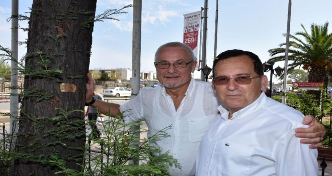 Rus İş Adamı 18 Yıl Önce Trabzonda Diktiği Ağacı Görünce Duygulandı