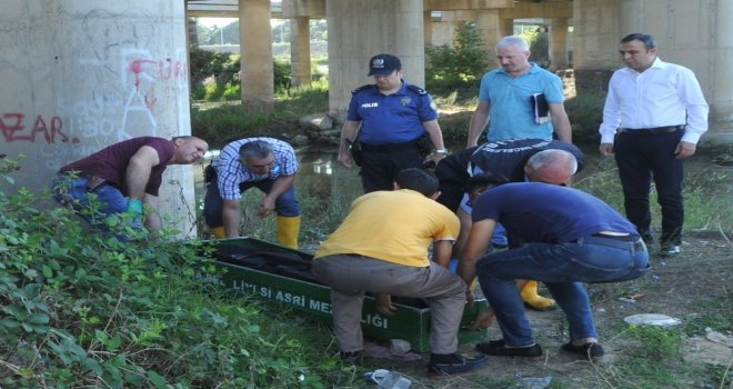 Kızılırmakta Erkek Cesedi Bulundu