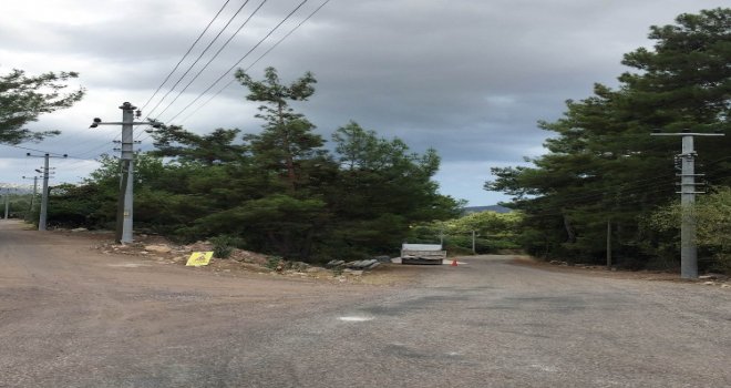 Olymposun Ateşi Gibi Işığı Da Hiç Sönmeyecek