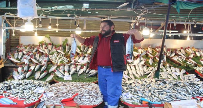 10 Liraya Satılan Palamut Tavuğun Pabucunu Dama Attı