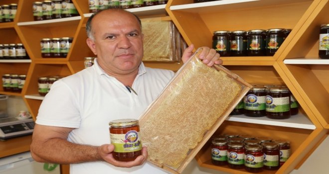Orduda Bal Üretiminde Düşüş