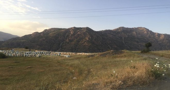 Tandoğan; Van Organik Bal Üretim Merkezi Olacak