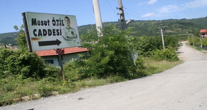 Alman Milli Takımını Bırakan Özile Hemşehrilerinden Destek
