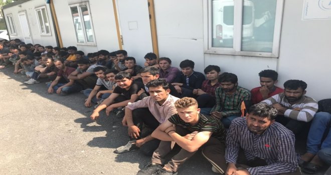 Vanda 105 Yabancı Uyruklu Kaçak Şahıs Yakalandı