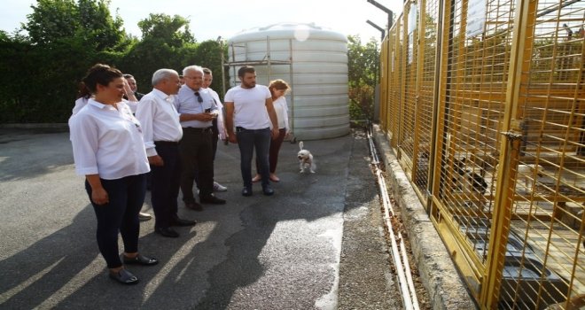 Vali Yardımcısı Ünsal  Hayvan Bakım Merkezini Denetledi