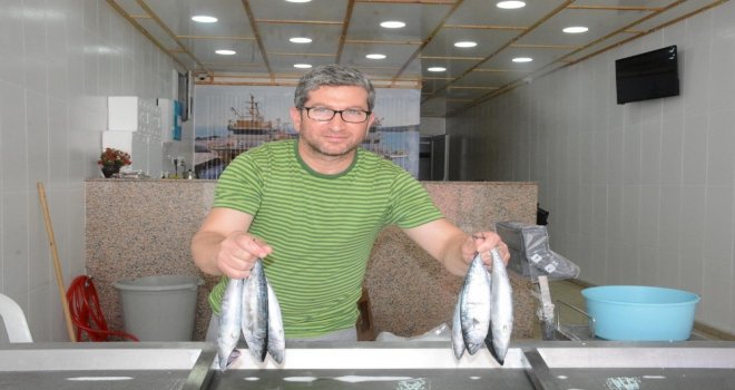 Sinopta Palamutlar Tezgahlardaki Yerini Aldı