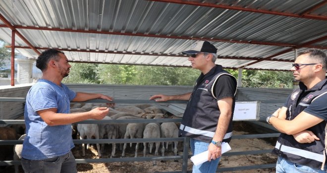 Bolu Hayvan Pazarında Sahte Para Denetimi Yapıldı