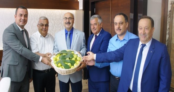 Aydın Ticaret Borsasından İlk Taze Aydın İnciri Vali Köşgere