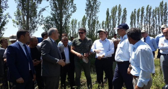 Arı Otu Ve Süt Otu Tarla Günü Düzenlendi