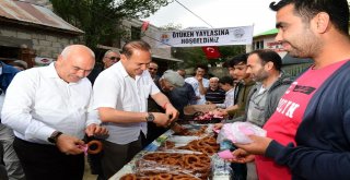 Karaisalının Yaylaları Birleşti Ötüken Oldu