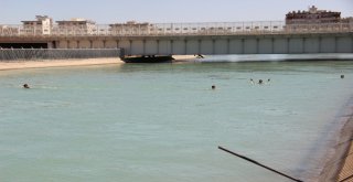 (Özel) Şanlıurfada Sulama Kanalında Gençlerin Tehlikeli Serinliği