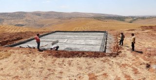 Siirtte Sokak Hayvanları İçin Barınak Yapımına Başlandı