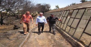 Aksudaki Orman Ve Tarım Arazileri Yangını