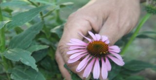 (Tekrar) Karı Koca Birlikte Şifa Ekiyor