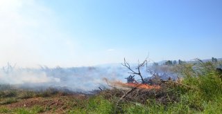 İznikte Sazlıklar Alev Alev Yandı