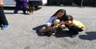 Çocukların Can Dost Hayali