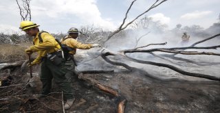 California Yangınlarında Ölü Sayısı Artıyor