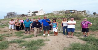 İngilizler Serçine Hayran Kaldı