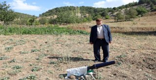 Arılarını Tüp Gazlı Kovucuyla Koruyor