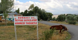 Muhtardan Seçim Vaadi Tabela