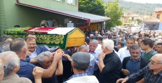 Besaş Genel Müdürü Bektaşın Acı Günü