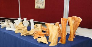 Aydında Kemik Üzerine Minyatür Sergisi