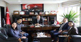 Çoruh Nehri Havzası Rehabilitasyon Projesi