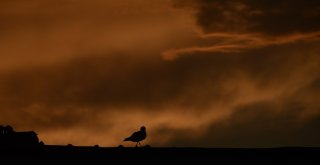 İstanbulda Gün Batımı