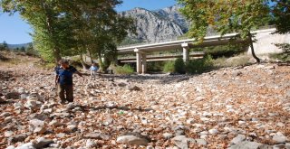 Üzümdere Irmağı Kurudu