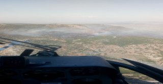 Hatayda Orman Yangını