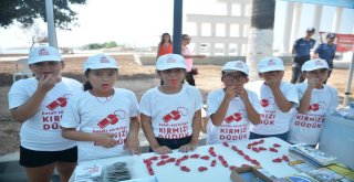 Mersinde Kırmızı Düdük Uygulaması