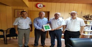 Yenice Belediyesi, Kentin Tanıtımı İçin Posta Pulu Bastırdı