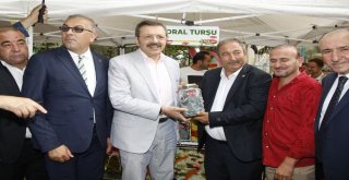 Doların Turşusunu Kurdular