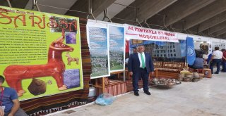 Hitit Başkentini Ankaraya Taşıdılar