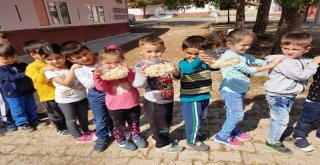 Minikler Bayat Ekmeklerden Sokak Hayvanlarına Mama Hazırlıyor