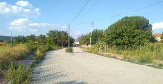 Yolun Ortasında Kalan Direk Korkutuyor