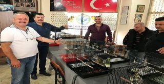 Dünyanın En Büyük Yorkshire Kanarya Şovu Edremitte Yapılacak