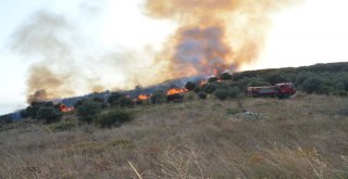 Çoban Ateşi Ormanı Yaktı