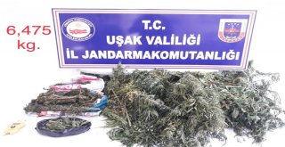 Uşakta 6 Kilo 475 Gram Uyuşturucu Ele Geçirildi