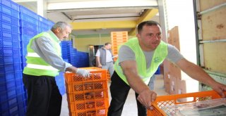 Hayat Ağacı Derneği Kurban Bağış Süresini Uzattı