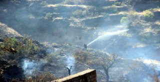 Talasta Ot Yangını