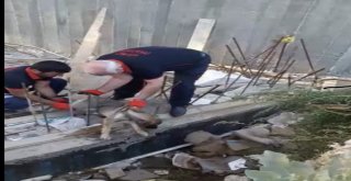 Yavru Köpeği İtfaiye Ekipleri Kurtardı