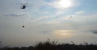 Erdekteki Orman Yangını Kontrol Altına Alındı