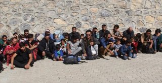 Başkalede 41 Kaçak Göçmen Yakalandı