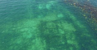 Van Gölünün Altında Yaşam Belirtileri