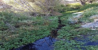 Beylerderesinde Kimyasal Atık İddiası