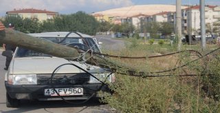 Emette Faciadan Dönüldü