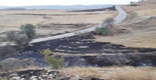 Sungurluda Arazi Yangını