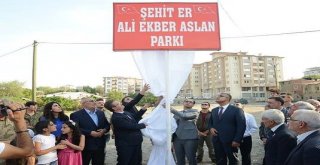 Tuzlucada Basketbol Ve Voleybol Sahasına Şehit Er Ali Ekber Aslan İsmi Verildi